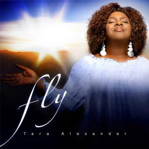 Fly Cover 2
